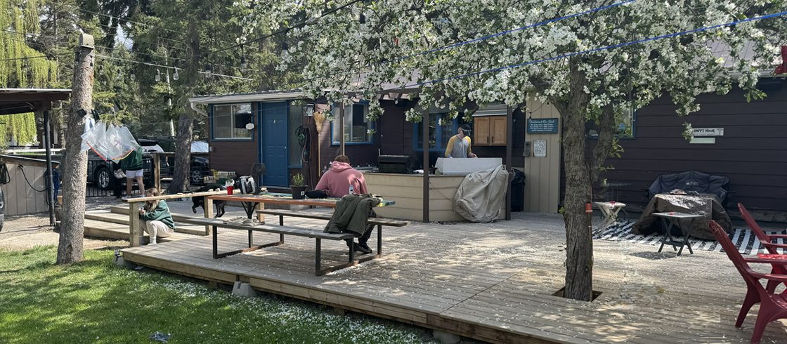 The cabin deck in spring. The outdoor kitchen sits at one end and the apple tree grows up through a cut-out in the decking, in full blossom